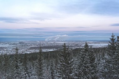 Kış manzara Ladin ormanda günbatımı, dağlar