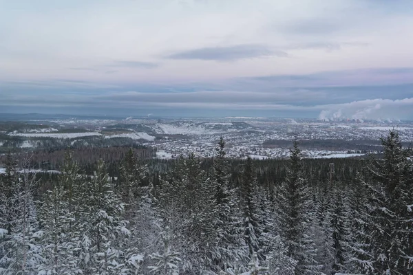 Zima Krajobraz Świerkowy Las Górach Zachodzie Słońca — Zdjęcie stockowe