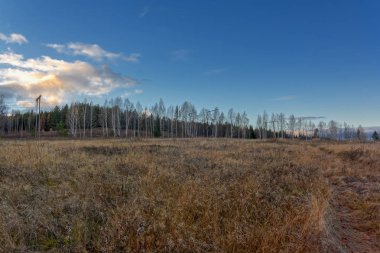 Sonbahar yatay, Kuru otların arasında ayar güneş tarafından aydınlatılmış bulutlar ile orman ve günbatımı gökyüzü arka plan üzerinde çayır