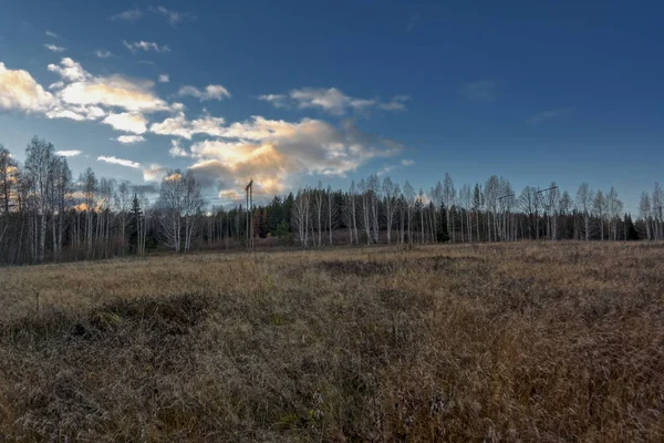 Podzimní Krajina Suché Trávy Louce Pozadí Lesa Západu Slunce Obloha — Stock fotografie