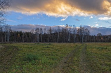 Sonbahar yatay, Kuru otların arasında ayar güneş tarafından aydınlatılmış bulutlar ile orman ve günbatımı gökyüzü arka plan üzerinde çayır