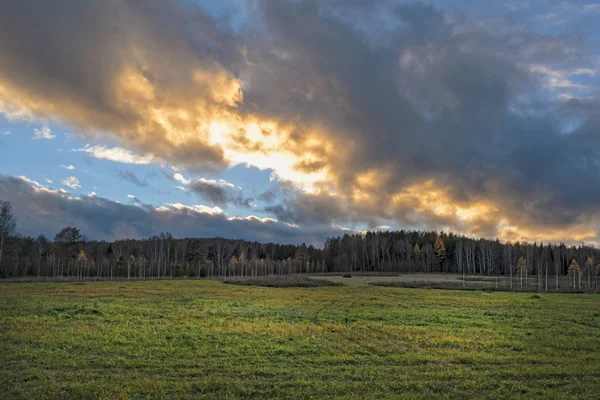 Sonbahar yatay, Kuru otların arasında ayar güneş tarafından aydınlatılmış bulutlar ile orman ve günbatımı gökyüzü arka plan üzerinde çayır