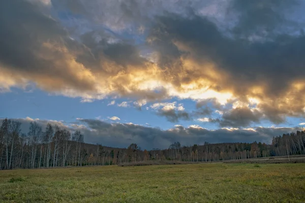 Autumn landscape with dried grass in the meadow on the background of forest and sunset sky with clouds illuminated by the setting sun
