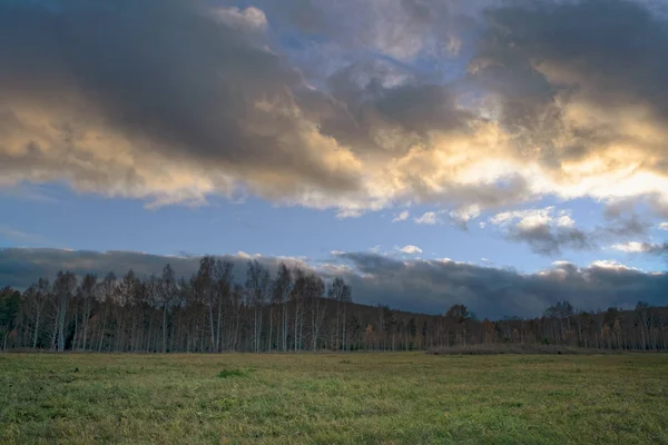 Autumn landscape with dried grass in the meadow on the background of forest and sunset sky with clouds illuminated by the setting sun