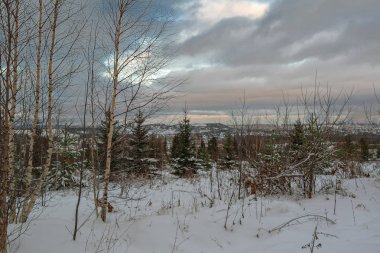 Kış manzara Ladin ormanda günbatımı, dağlar