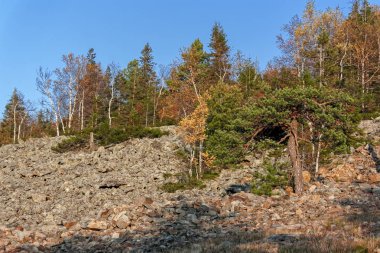 Dağın zirvesine sonbahar manzara manzara renkli sonbahar ormana gün batımında. Ural Dağları.