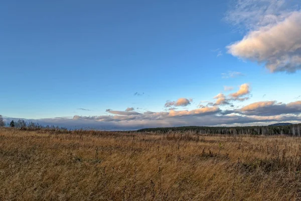 Autumn landscape with dried grass in the meadow on the background of forest and sunset sky with clouds illuminated by the setting sun