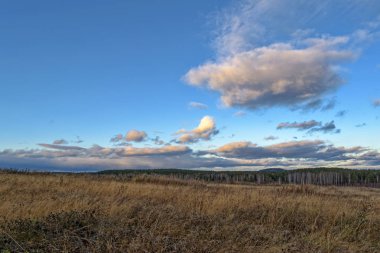 Sonbahar yatay, Kuru otların arasında ayar güneş tarafından aydınlatılmış bulutlar ile orman ve günbatımı gökyüzü arka plan üzerinde çayır
