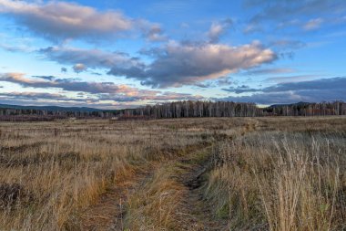 Sonbahar yatay, Kuru otların arasında ayar güneş tarafından aydınlatılmış bulutlar ile orman ve günbatımı gökyüzü arka plan üzerinde çayır