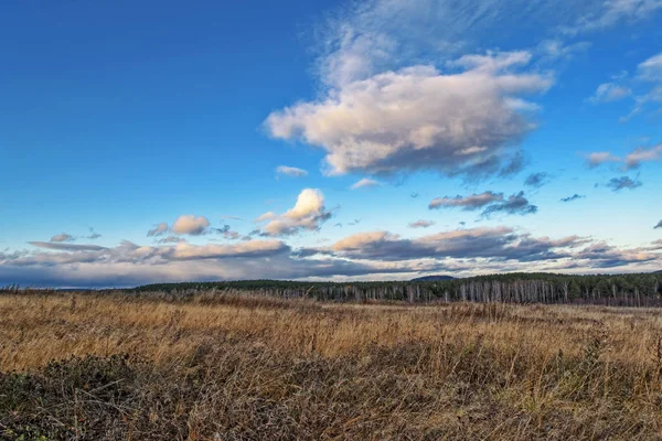 フォレストと日没空は夕日に照らされた雲の背景に草原の乾いた草と秋の風景 — ストック写真