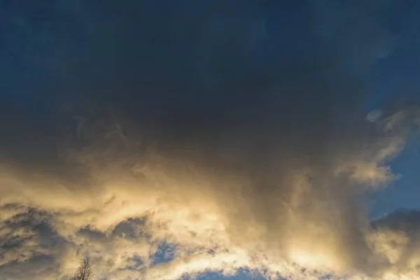 Autumn landscape with dried grass in the meadow on the background of forest and sunset sky with clouds illuminated by the setting sun