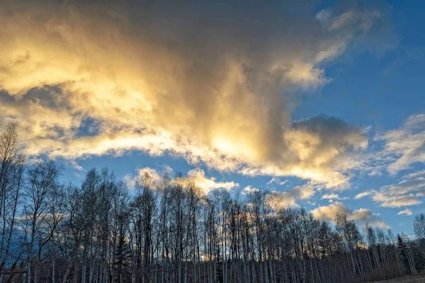 Autumn landscape with dried grass in the meadow on the background of forest and sunset sky with clouds illuminated by the setting sun