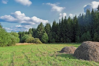 Güneşli bir yaz yılında haystacks ile kırsal manzara. Kırsal manzara mavi gökyüzünde bulutlar ile.