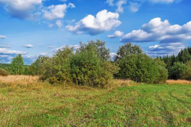 Güneşli bir yaz yılında haystacks ile kırsal manzara. Kırsal manzara mavi gökyüzünde bulutlar ile.
