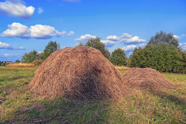 Vidéki Táj Haystacks Nyári Napsütésben Vidéki Táj Kék Égen Felhők — Stock Fotó