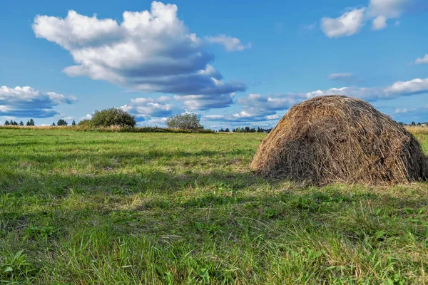 Paesaggio Rurale Con Pagliai Una Giornata Sole Estivo Paesaggio Rurale — Foto Stock
