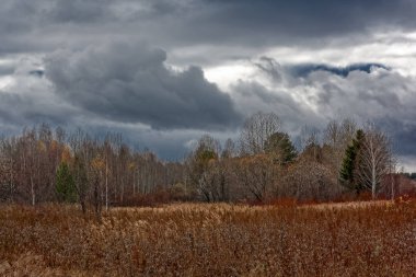 Bir bulutlu gökyüzü yağmurdan önce karşı sonbahar manzara