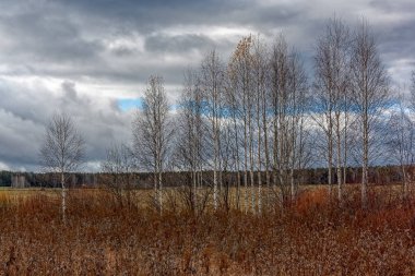 Bir bulutlu gökyüzü yağmurdan önce karşı sonbahar manzara