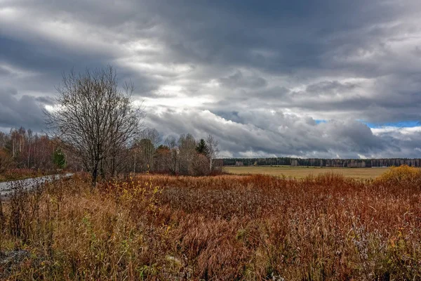 Bir bulutlu gökyüzü yağmurdan önce karşı sonbahar manzara