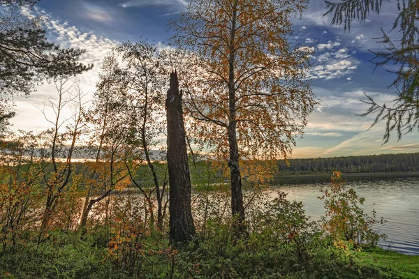 Hösten Landskap Solnedgång Skogen Vid Sjön — Stockfoto