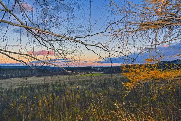 Paisaje Otoñal Con Hierba Seca Prado Sobre Fondo Del Bosque — Foto de Stock