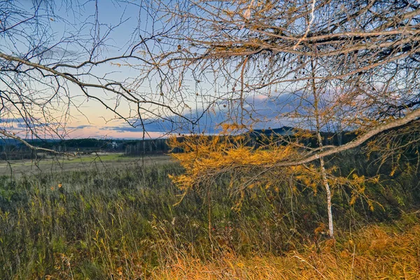 在森林和日落天空的背景下 草地上干燥的草地上的秋天的风景与夕阳照亮的云彩 — 图库照片