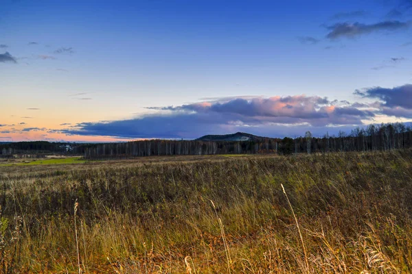 Paysage Automne Avec Herbe Sèche Dans Prairie Sur Fond Forêt — Photo