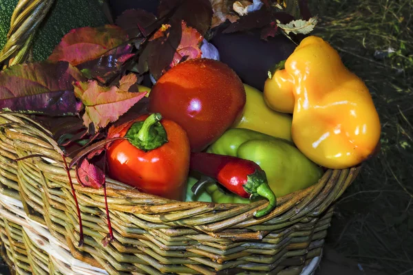 クローズ アップ自然の新鮮な野菜の背景付きバスケット — ストック写真