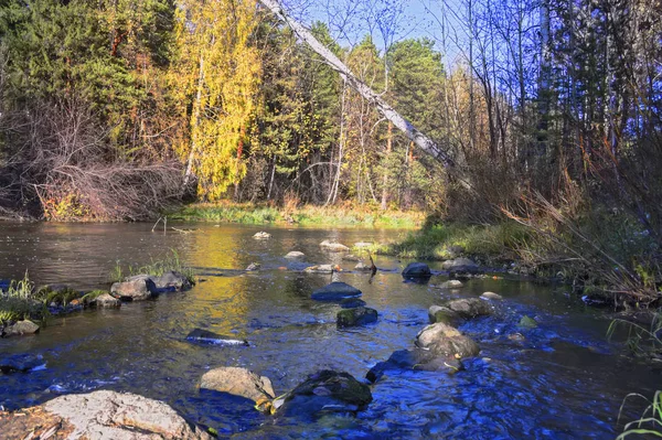 Όχθη Ποταμού Στην Ηλιόλουστη Φθινοπωρινή Μέρα Όμορφο Τοπίο — Φωτογραφία Αρχείου