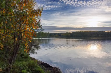Göl kenarında ormandaki sonbahar manzara günbatımı