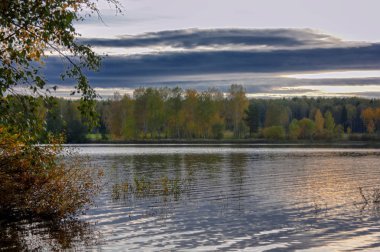 Göl kenarında ormandaki sonbahar manzara günbatımı