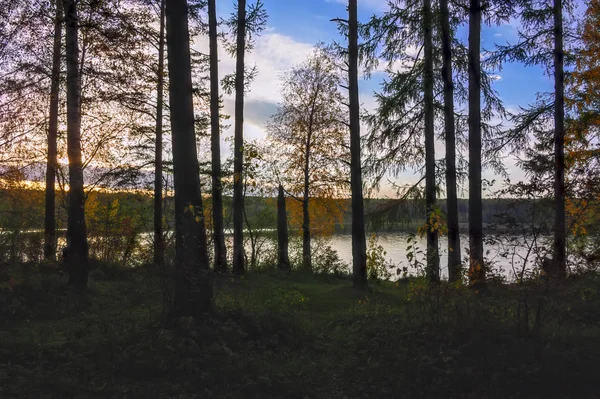 Hösten Landskap Solnedgång Skogen Vid Sjön — Stockfoto