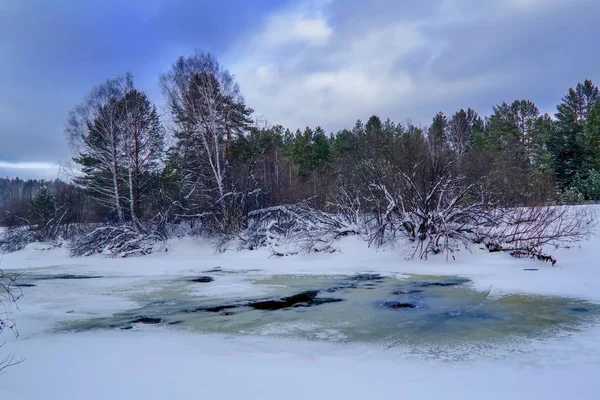 Río Invierno Ramas Árboles Cubiertas Heladas Blancas — Foto de Stock