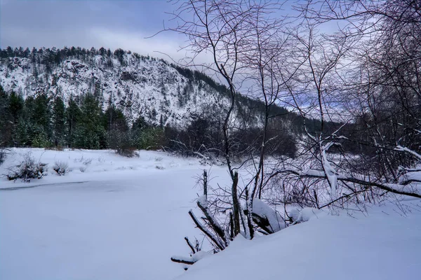 Rivière Hiver Branches Arbres Couvertes Givre Blanc — Photo