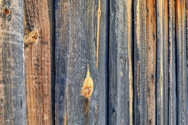 Ahşap doku, ahşap çit arka planı