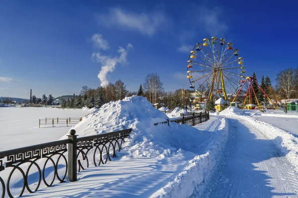 Steegje Het Park Een Zonnige Dag Winter — Stockfoto