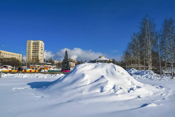 Steegje Het Park Een Zonnige Dag Winter — Stockfoto