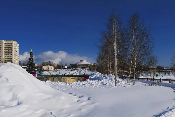 Steegje Het Park Een Zonnige Dag Winter — Stockfoto