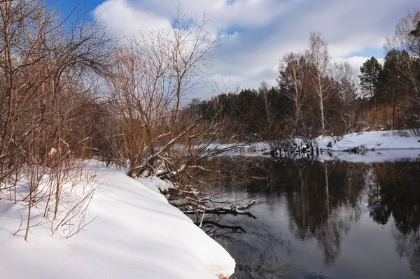 Rivière Hiver Branches Arbres Couvertes Givre Blanc — Photo