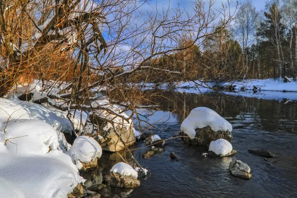 Río Invierno Ramas Árboles Cubiertas Heladas Blancas — Foto de Stock