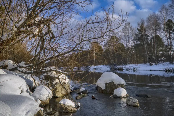 Kış manzarası gün batımında ormandaki nehir