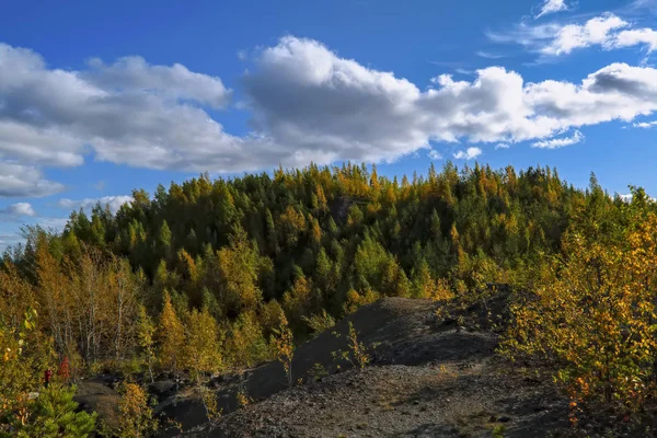 Floresta de outono no topo de uma montanha contra um céu azul — Fotografia de Stock