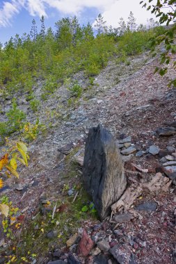 Demir Cevheri madeni yakınındaki Dünya yüzeyinin üzerinde yatıyor