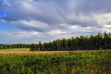 ormanın kenarında günbatımı erken Güz.