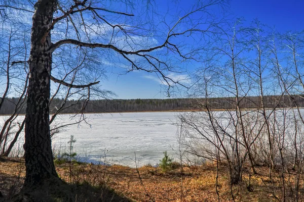 Início da primavera, o gelo derrete no lago — Fotografia de Stock