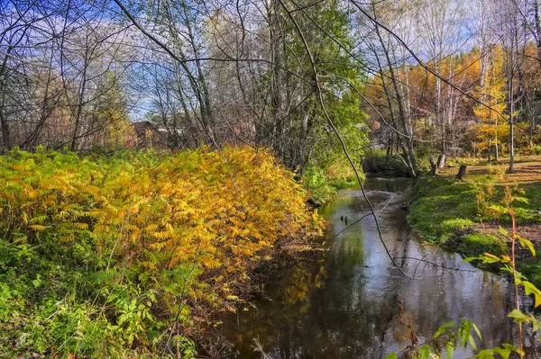 Paisagem de outono com pequeno rio rural à beira da aldeia — Fotografia de Stock