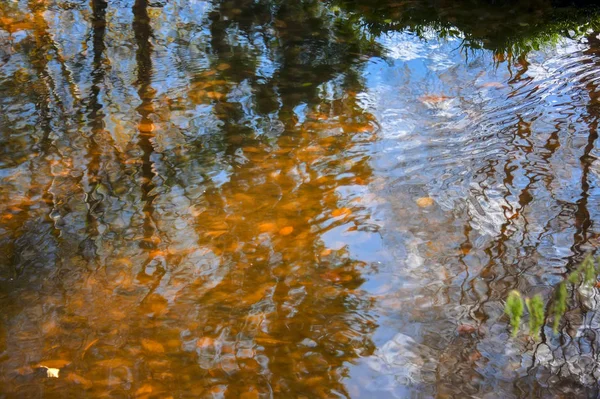 Tree branches in the autumn coloring are reflected in the surface of the river — Stock Photo, Image