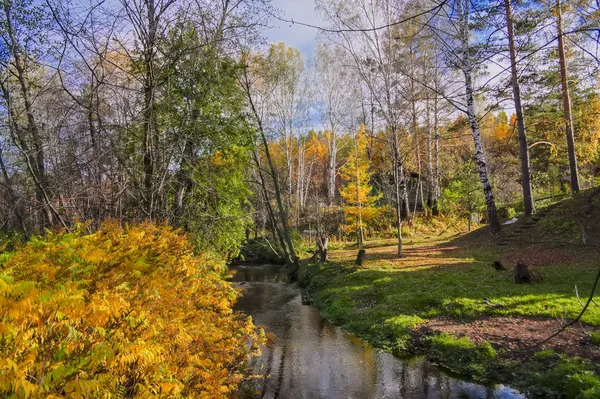 Осінній пейзаж з маленькою сільською річкою на краю села — стокове фото