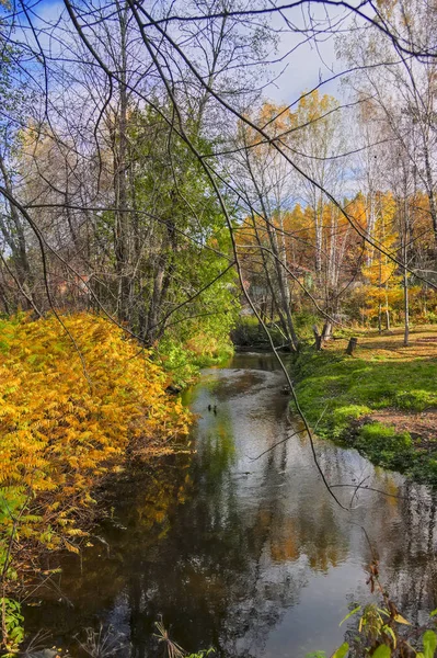 Paysage d'automne avec petite rivière rurale au bord du village — Photo