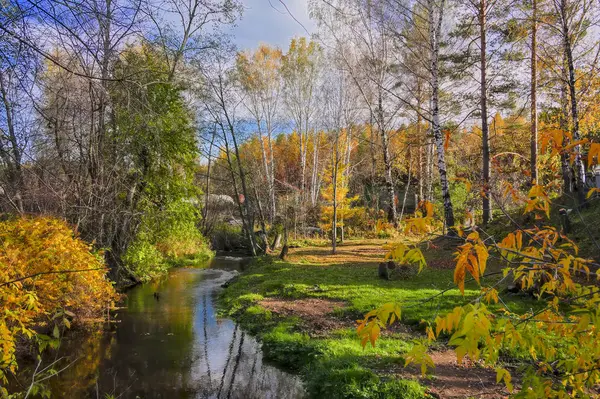 Осінній пейзаж з маленькою сільською річкою на краю села — стокове фото